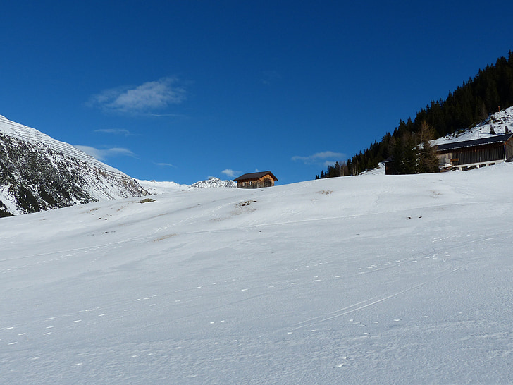 campo di neve, inverno, Alpi