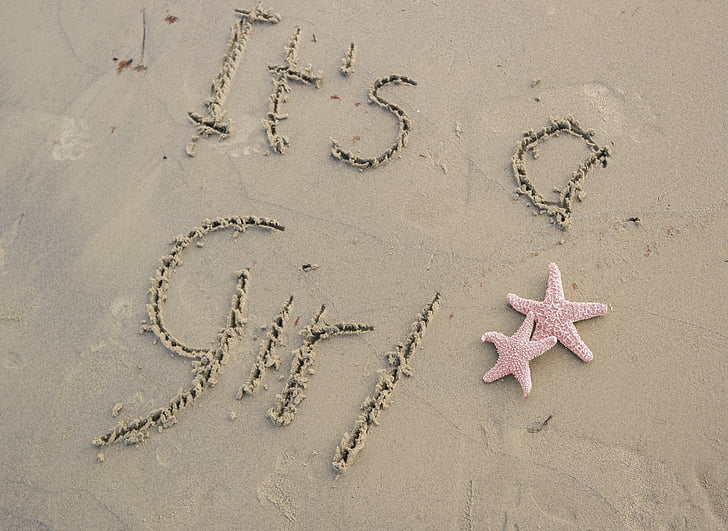 smilts, Starfish, rozā, pludmale, vārdus, rakstiski, tā ir meitene
