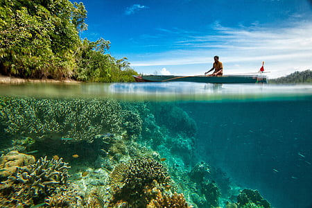 landscape, underwater, on the water surface, boat, fish, coral, located on the island