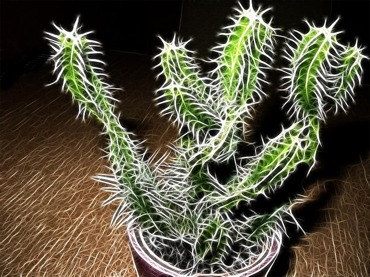 cactus, Resumen, fractal, Espinosa, planta