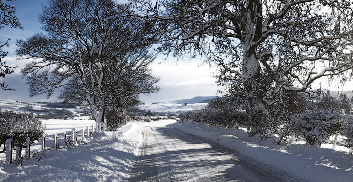 neve, paesaggio, Rothbury, inverno, freddo, natura, stagione