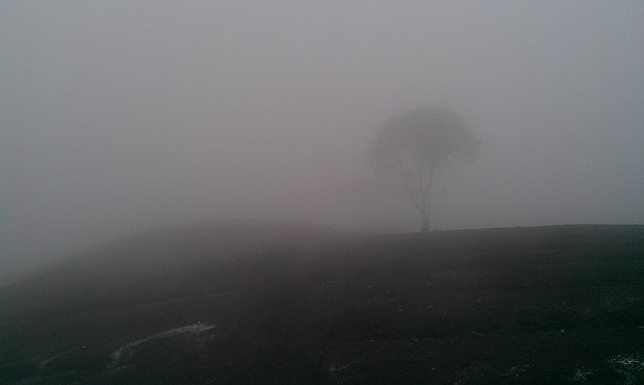 Haze, moln, Hill, träd, bergen, nattscen
