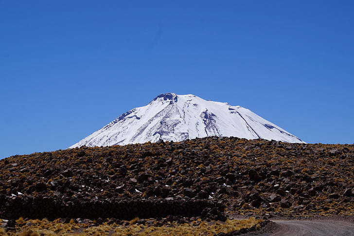 Λαγκούνα, altiplanica, Χιλή