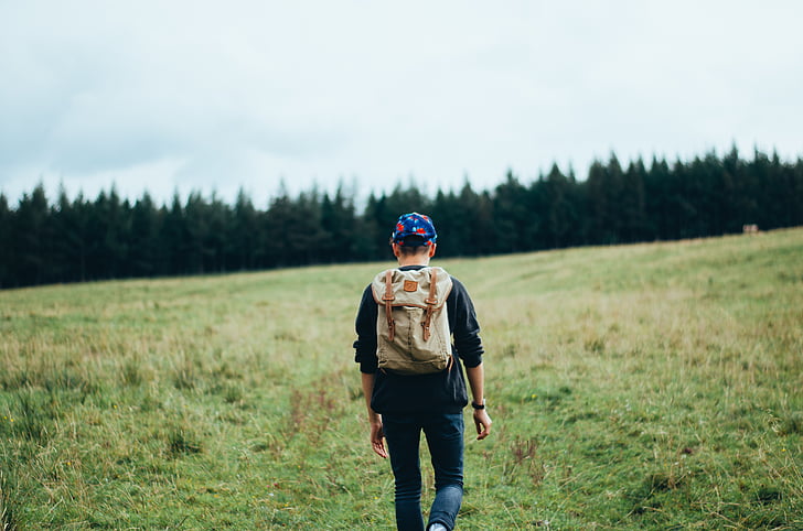 person, walking, towards, green, tree, field, backpack