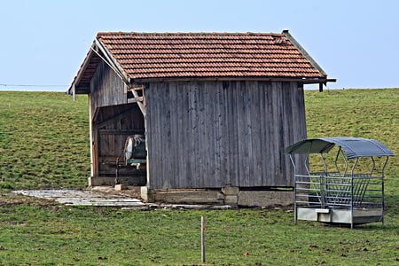 hut, barn, nature, field, meadow, field barn, log cabin