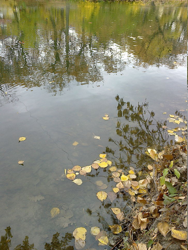 vode, ribnjak, jesen, odraz, parka, priroda, lišće