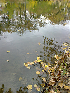 voda, rybník, podzim, reflexe, parku, Příroda, listy
