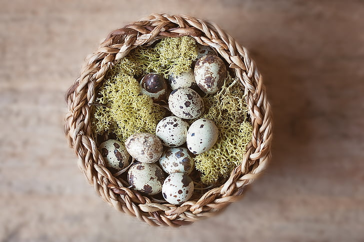 basket, nest, egg, easter nest, small eggs, deco, decoration