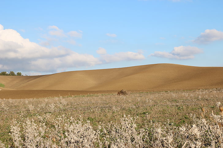 wheat, landscape, sicily, italy, summer, sky, nature