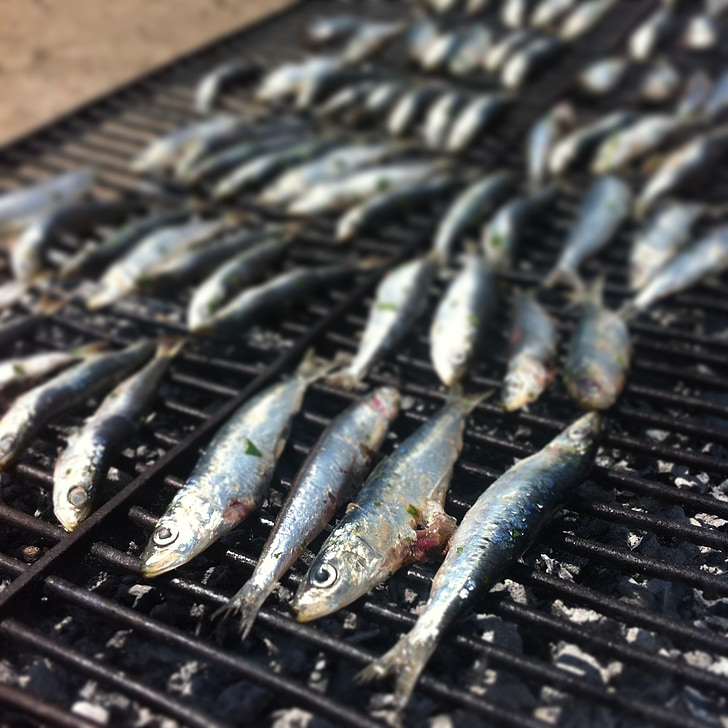 fisk, rutenett, sardin