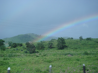 Rainbow, vegetation, naturen