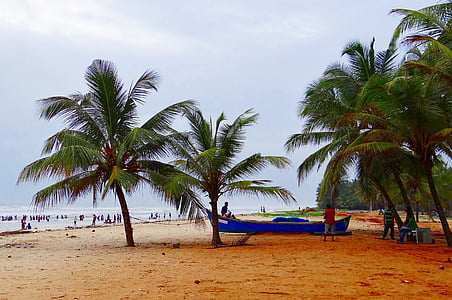 malpe beach, arabian sea, palm trees, sand beach, beautiful beach, beach, udupi
