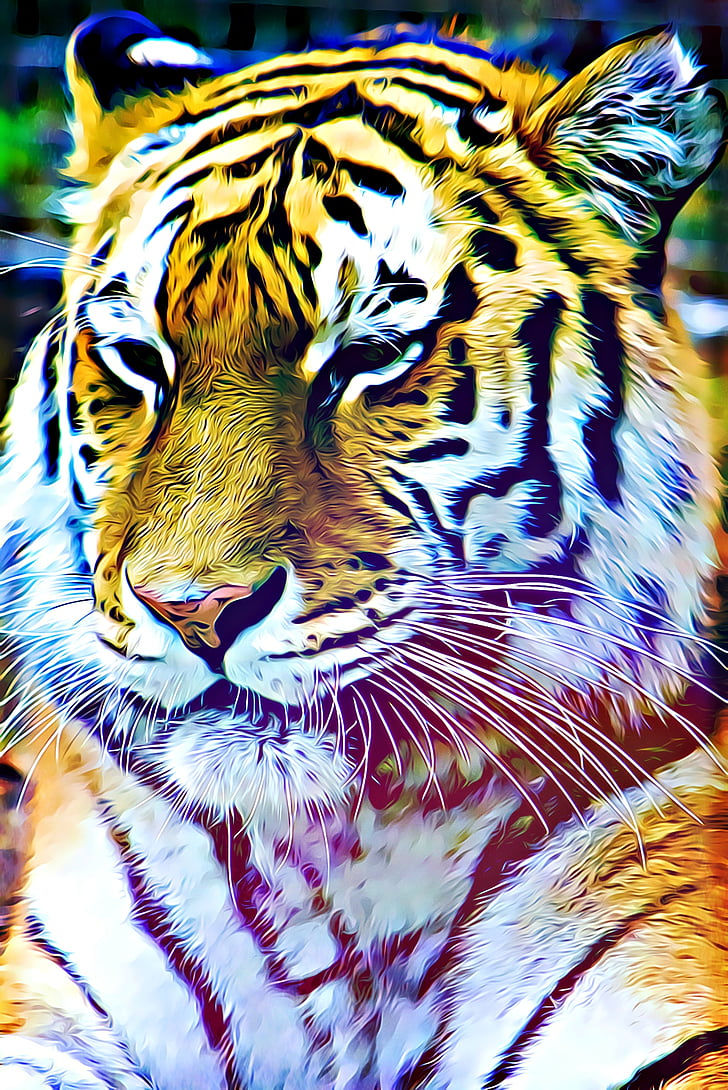 digital, gráficos, Tigre, a rayas, está mirando, animal, naturaleza
