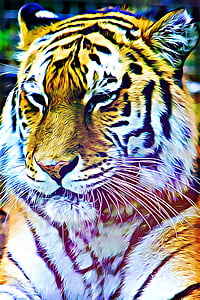 Digital, grafis, Harimau, bergaris-garis, menonton, hewan, alam