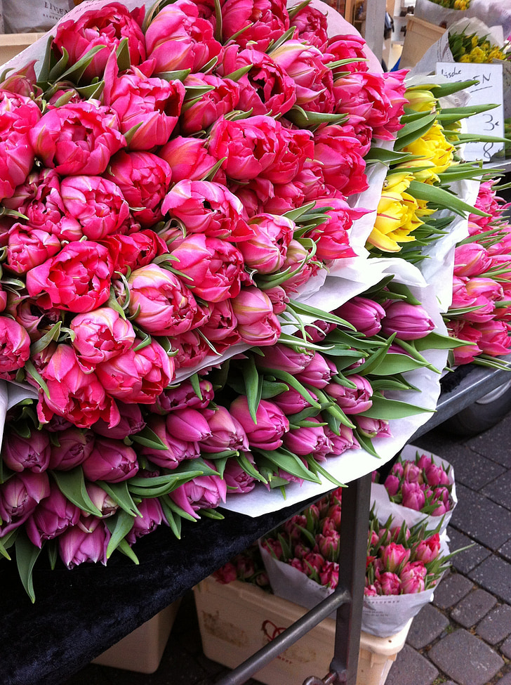 tullips, květiny, kytice, Amsterdam, trh