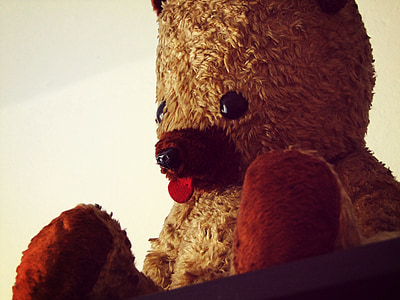 Teddy, Bär, Spielzeug, Kind, Baby, niedlich, Braun