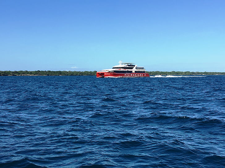 speedboat, cruise, boat, motorboat, tourism, powerboat, dar es salaam