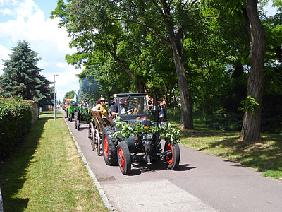 tractors, old tractors, tractor, old tractor, agricultural machine, museum piece, historical tractor