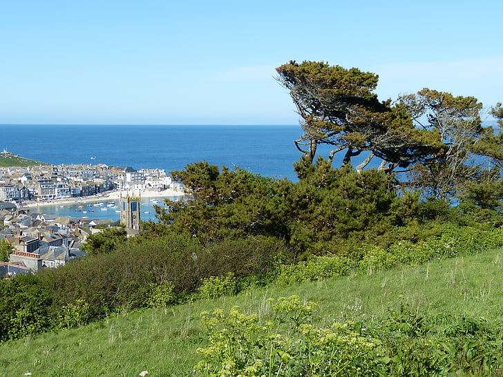 Cornwall, St ives, England, Storbritannien, ferie, havet, nåletræ