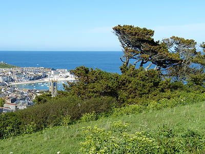 Cornwall, St ives, Anglija, Lielbritānija, brīvdiena, jūra, skuju koku