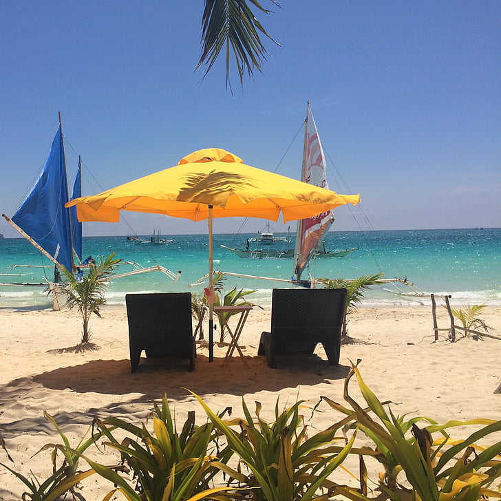 palm trees, sunshade, umbrella, yellow, beach, summer, travel