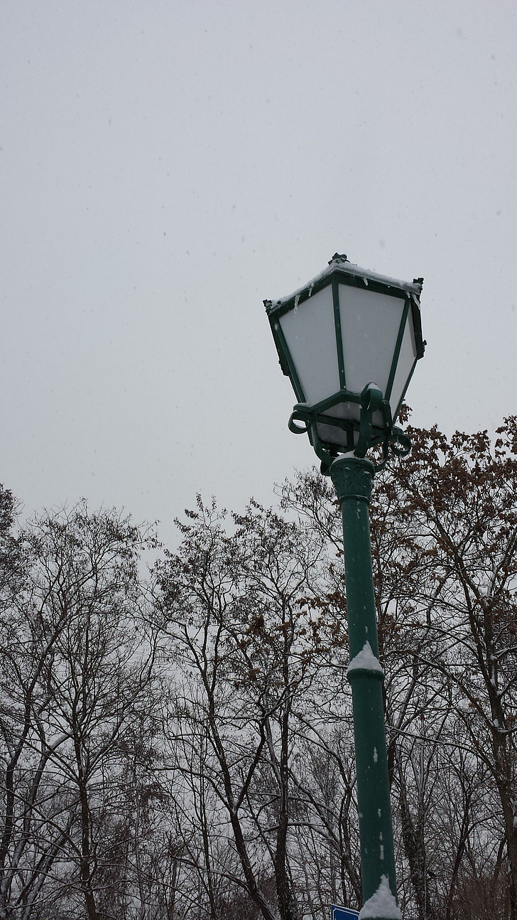 winter, lantaarn, sneeuw, wit, zwart, koude, takken