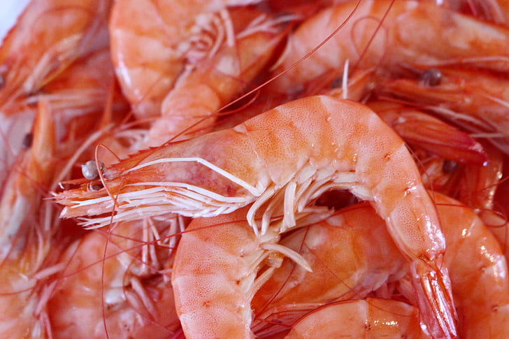 shrimp, seafood, crustaceans, sea, food, kitchen
