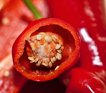 paprika, frugt, indersiden af peber, korn af paprika, rød, rød peber, sød peber