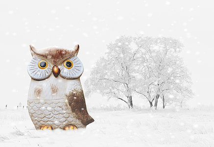Gufo, inverno, neve, uccello, divertente, invernale, Figura