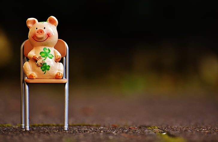 lucky pig, figure, luck, lucky charm, funny, chair, sit