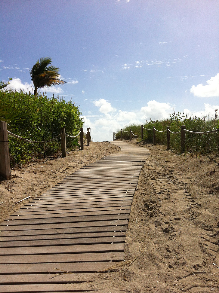 Miami, spiaggia, sabbia, estate, Miami beach, palme, Palma