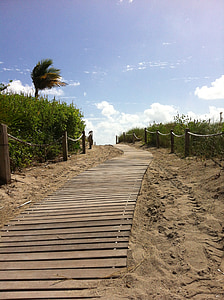 Miami, stranden, sand, Sommer, Miami beach, håndflatene, Palm