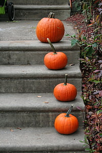 dýně, kroky, oranžová, Halloween, na podzim, podzim, vstup