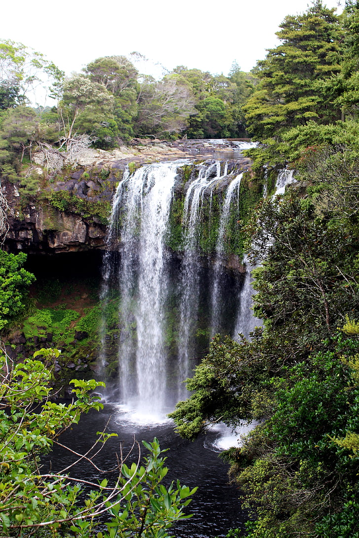 Vodopad, Novi Zeland, priroda, vode, krajolik, šum, Divljina