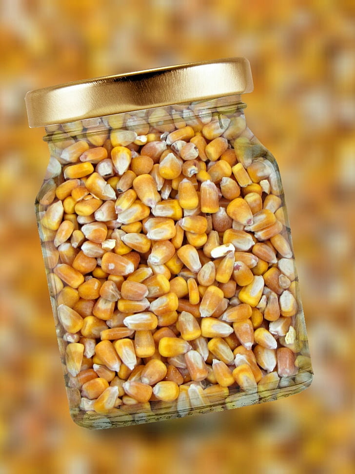 kukurūzų, stiklo, dangtis, kukurūzų branduoliai, maisto, sėklos, geltona