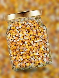 milho, vidro, tampa, grãos de milho, comida, sementes, amarelo