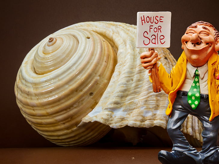 real estate agents, shell, sell, figure, funny, profession, tie