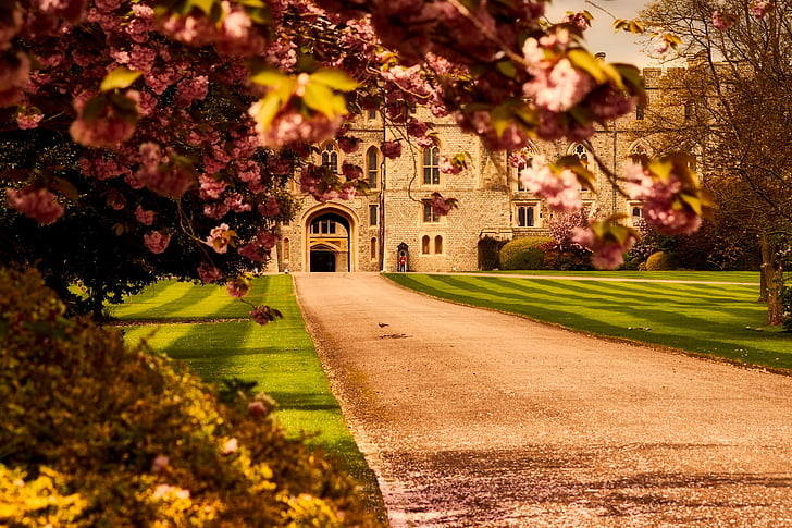Windsor castle, landmärke, historiska, sökväg, gångväg, Guard, träd