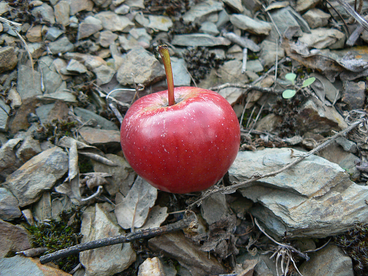 jabolko, kamen, skrilavca, rdeča