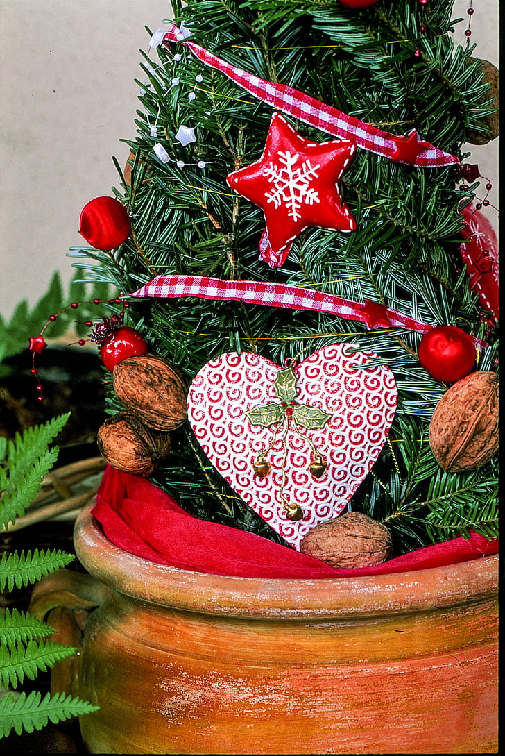 hjerte, rød, valnøtt, Christmas, dekorasjon, ferie, ornament