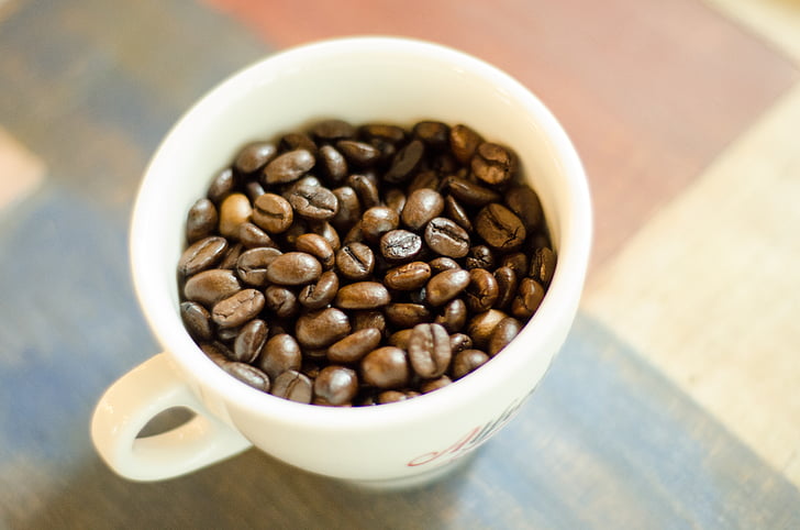 커피 콩, 컵, 커피, 카페, 커피 콩, 콩, 갈색