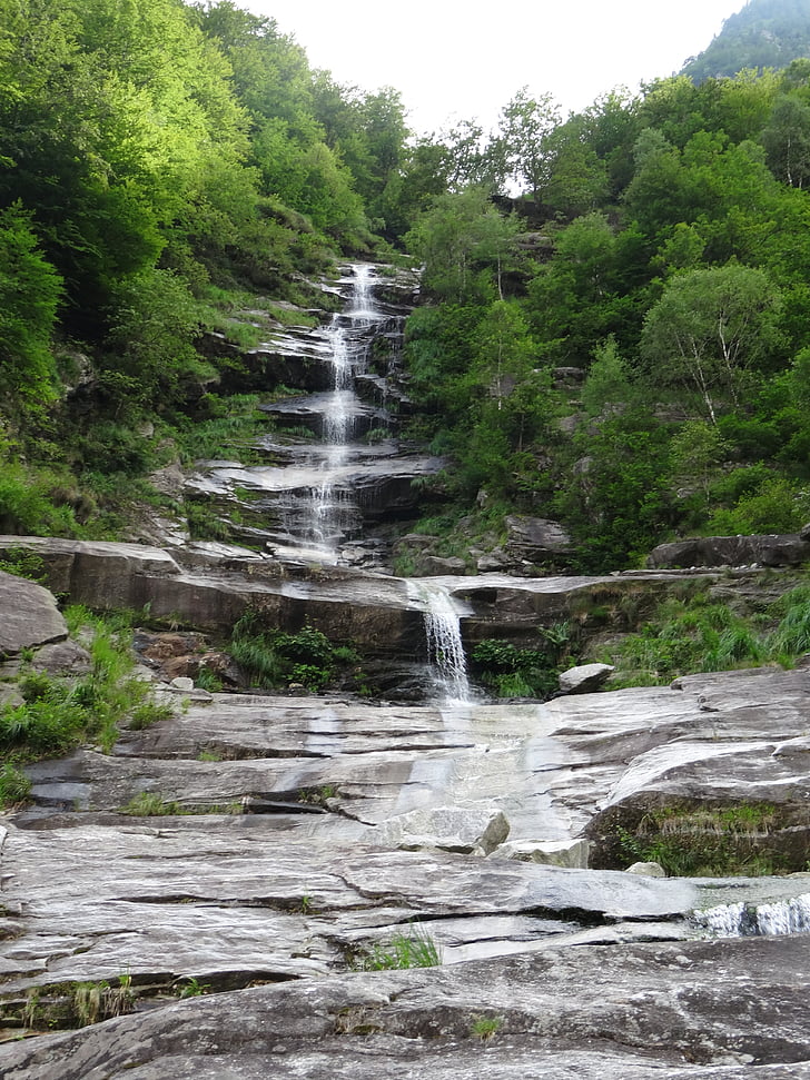 Suisse, chute d’eau, Bergrivier