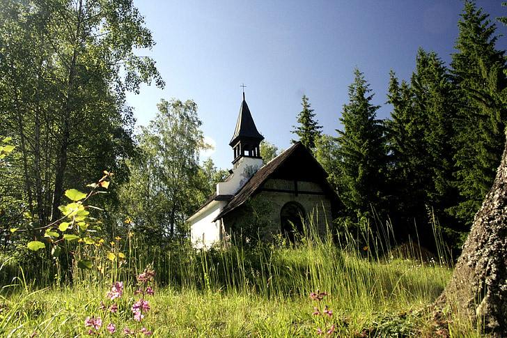 Nhà thờ, lãng mạn, rừng
