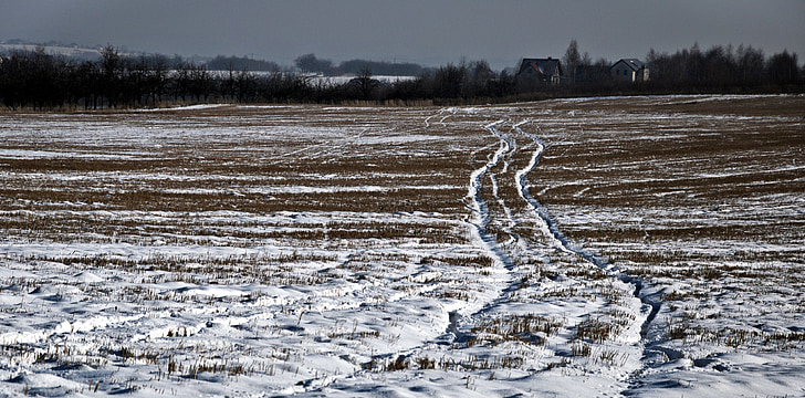 way, winter, target, traces, field, the silence, space