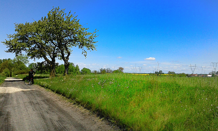 way, field, myślibórz, the cultivation of, agriculture, view, weather