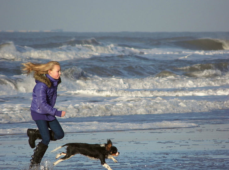 Tüdruk, koer, Sea, Beach, Zandvoort, rassi, mängida