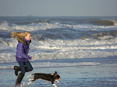 menina, cão, mar, praia, Zandvoort, corrida, jogar