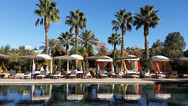 bazén, Palmové stromy, Marrakech, plavecký bazén, Resort