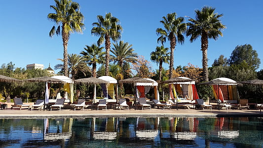 medence, pálmafák, Marrakech, úszómedence, Resort