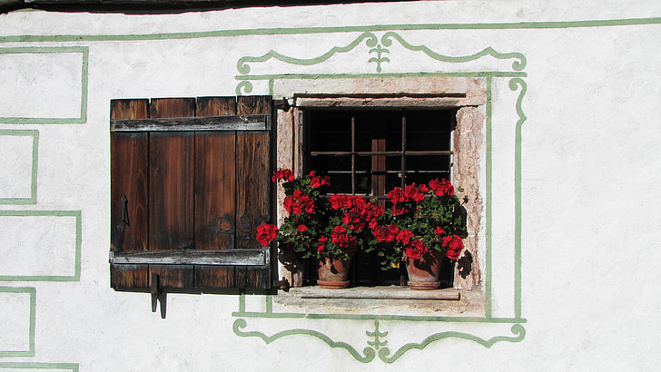 finestra, flors, obturador